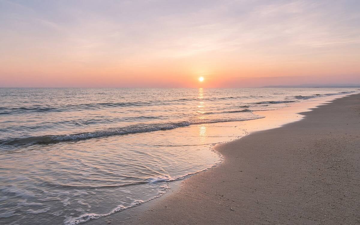 애착 — 다 큰 어른에게도 애착이 있습니다